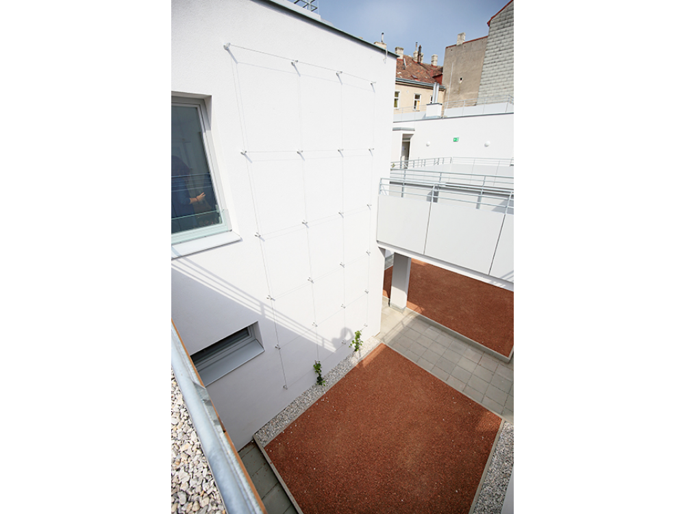claud architekten Architektur Projekt Wien Brandstätter Genochplatz