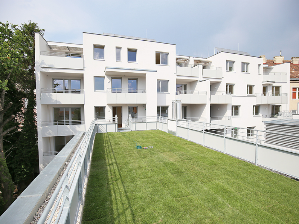 claud architekten Architektur Projekt Wien Brandstätter Genochplatz