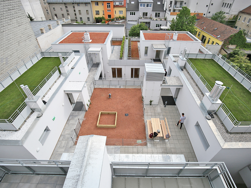 claud architekten Architektur Projekt Wien Brandstätter Genochplatz